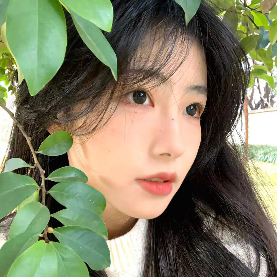 铁面无私
